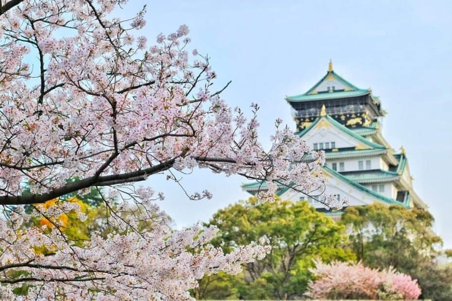 japan tour osaka castle